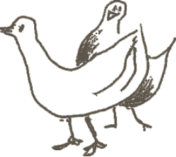イラスト:鳥