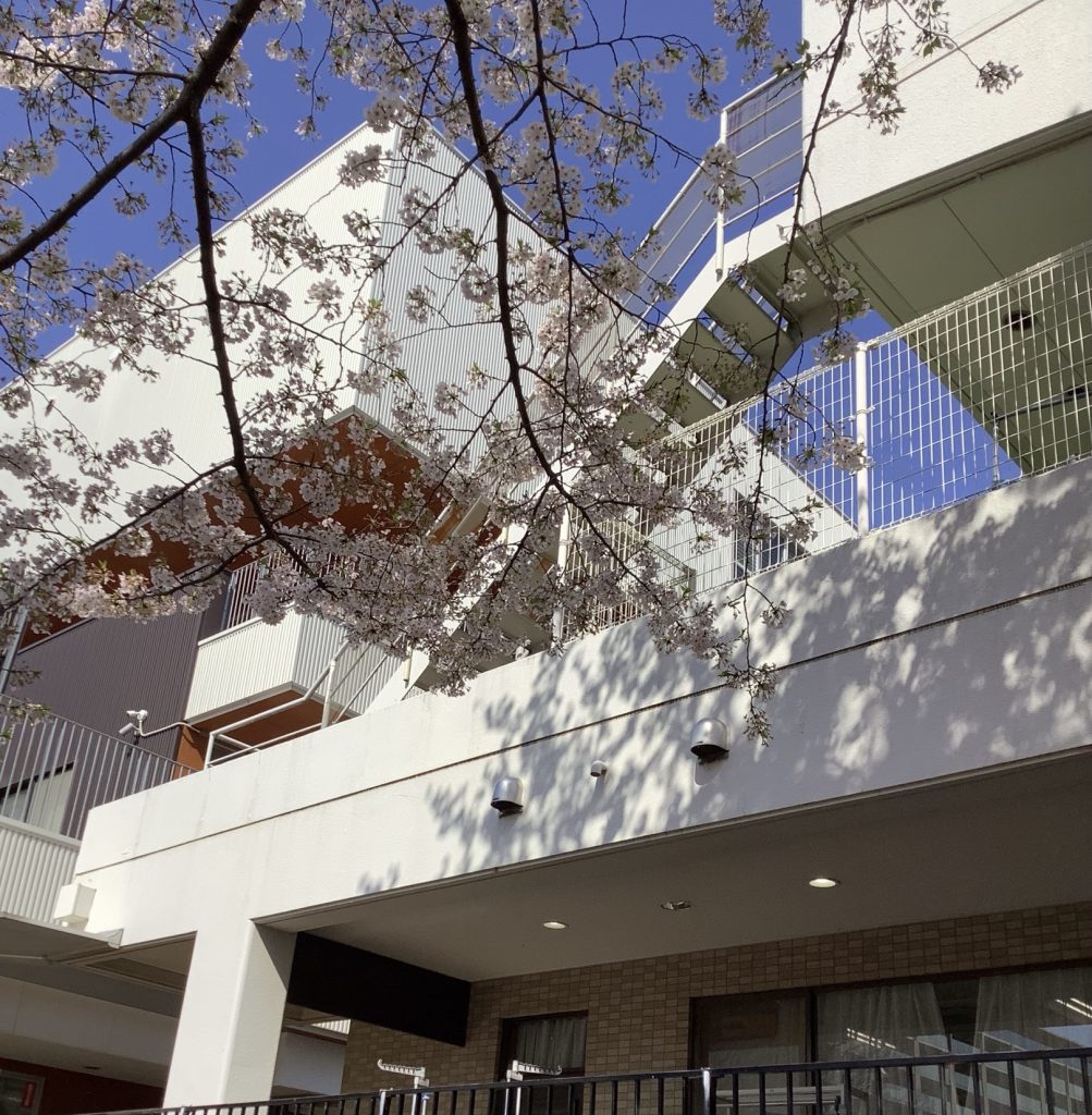 画像：悠々デイサービスセンター